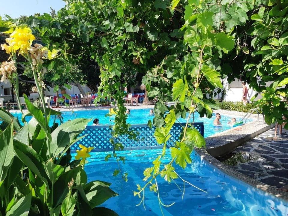 Oasis Hotel Bungalows Rhodes Afantou Eksteriør billede