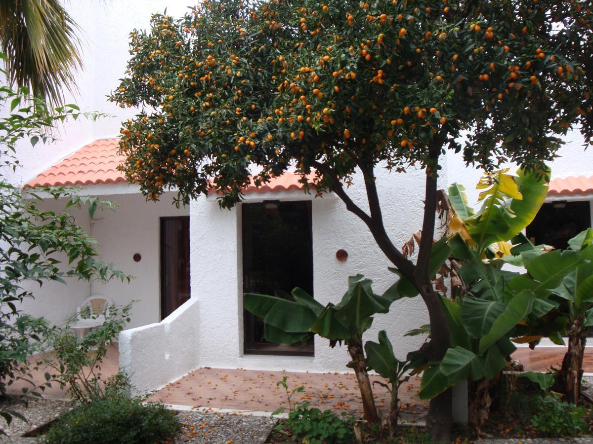 Oasis Hotel Bungalows Rhodes Afantou Eksteriør billede