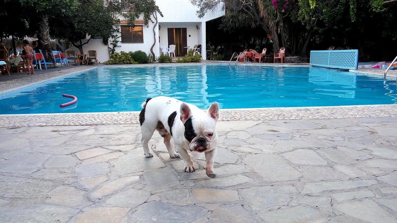 Oasis Hotel Bungalows Rhodes Afantou Eksteriør billede